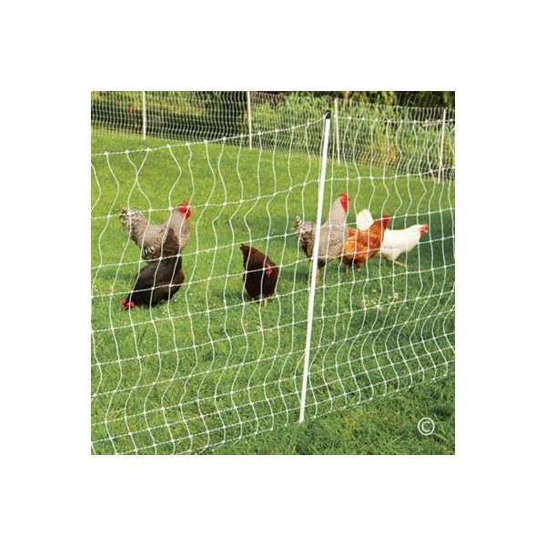 Net Fencing