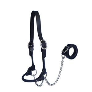 SHOW HALTER BLACK MED