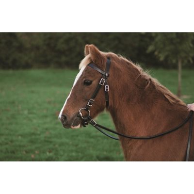 PONY BRIDLE & REINS