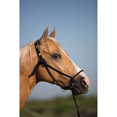 MUSTANG CONTROL HALTER