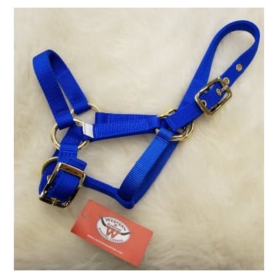 HALTER MINI AVERAGE