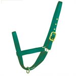 HAMILTON BARN HALTER RED