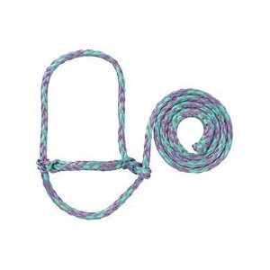 SHEEP ROPE HALTERS