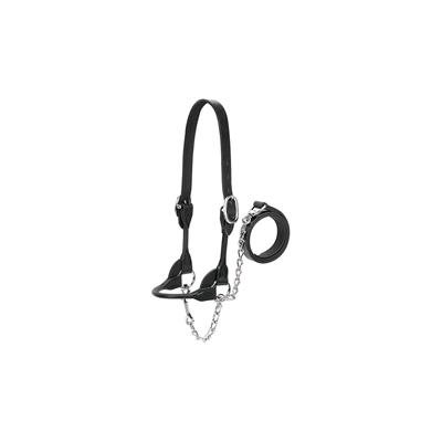 DAIRY / BEE ROUND SHOW HALTER XS BLACK