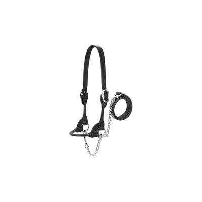 DAIRY / BEEF ROUND HALTER SMALL BLACK