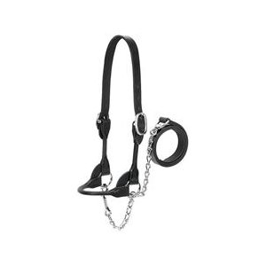 DAIRY / BEEF ROUND HALTER SMALL BLACK