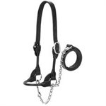 DAIRY / BEEF ROUND SHOW HALTER MED BLACK