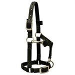 MINI HALTER