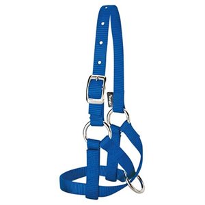 LARGE ALPACA HALTER BLUE