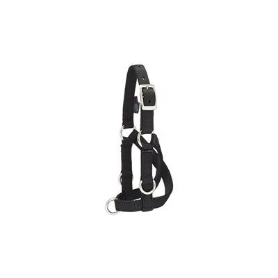 MEDIUM SHEEP & GOAT TRAINING HALTER BLACK