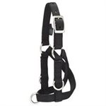 MEDIUM SHEEP & GOAT TRAINING HALTER BLACK