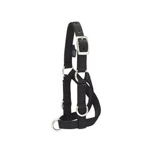 LARGE SHEEP & GOAT TRAINNING HALTER BLACK