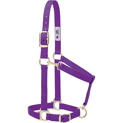 AVERAGE HALTER