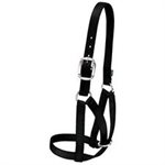 COW BARN HALTER MEDIUM