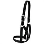 COW BARN HALTER LARGE