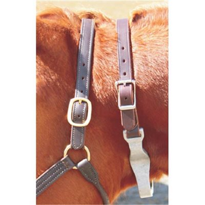 CRIB COLLAR LEATHER