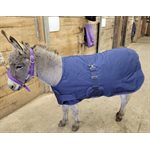 MINI FOAL WINTER BLANKET