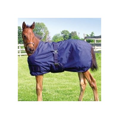 MINI FOAL WINTER BLANKET