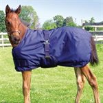 MINI FOAL WINTER BLANKET