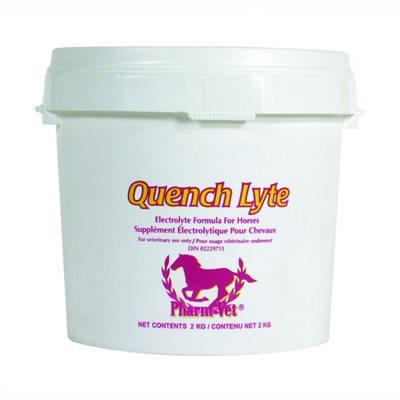 QUENCH LYTE RASPBERRY 2KG