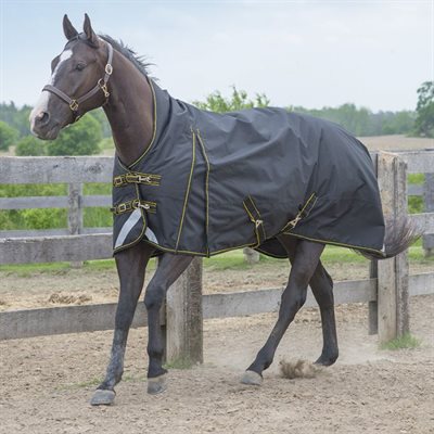 CANADIAN HORSEWARE STORM 160GM