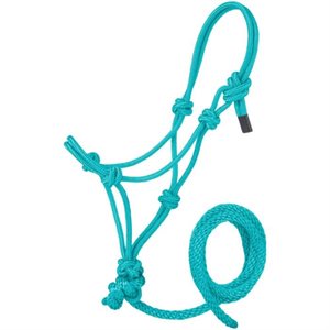 MINI POLY ROPE HALTER TURQ