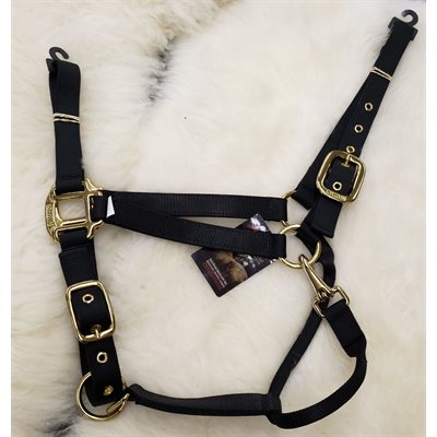 GRITWEAR HALTER