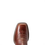 BOTTE HOMME ARAIT BRUN ANKLE SLIP ON