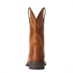 BOTTE HOM ARIAT HYBRID RANCHWORK BRUN