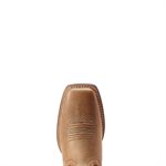 BOTTE FEMME ARIAT BRN / COPPER