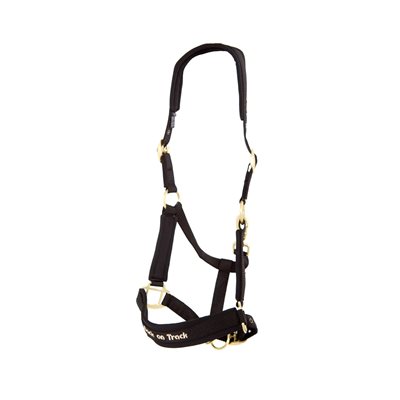 WERANO HALTER - FULL