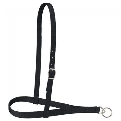 WEB NOSEBAND