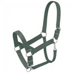 DRAFT HORSE NYLON HALTER GREEN