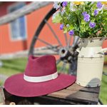 LADIES FASHION HAT MARRON