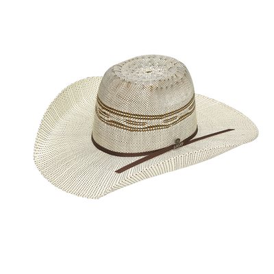 CHAPEAU COWBOY ARIAT PAILLE