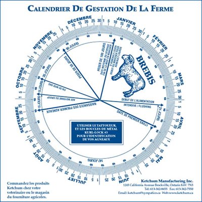 CALENDRIER DE GESTATION OVIN