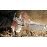 TRAYEUSE EZ MILKER POUR MOUTON