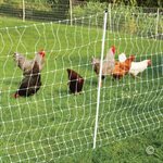 Premier 1 PoultryNet - 12 / 48 / 3 DS, 50m