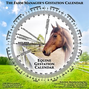 GESTATION WHEEL EQUINE