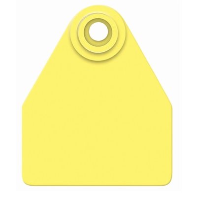 MEDIUM COMP YELLOW BLANK 25 / PK