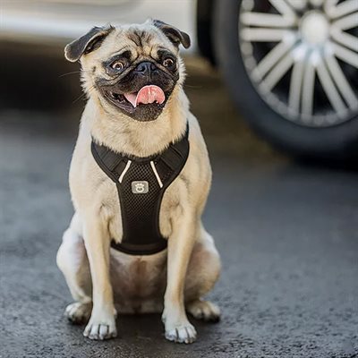 PET TRAVEL HARNESS BLACK