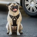 PET TRAVEL HARNESS BLACK