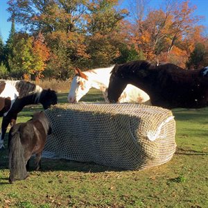 SLOW BALE BUDDY LARGE BALLE CARRE