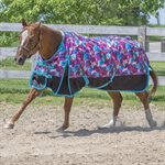 CH TURQUOISE DREAM DIABLO RAINSHEET